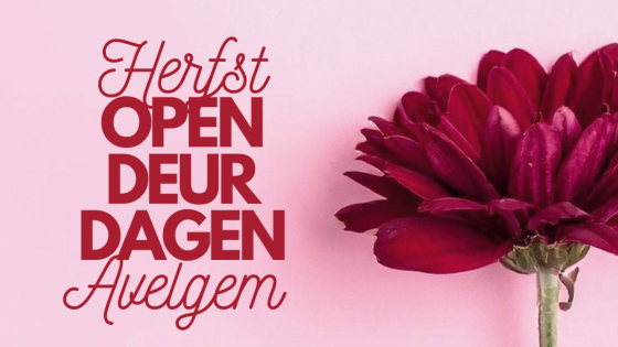 herfst opendeurdagen banner