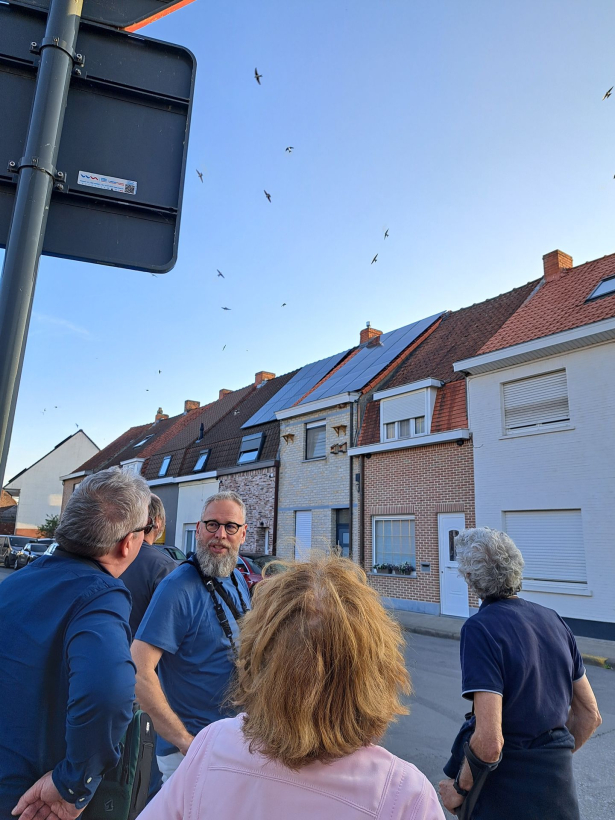 zwaluwwandeling
