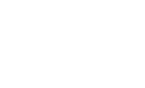 spikkerelle logo